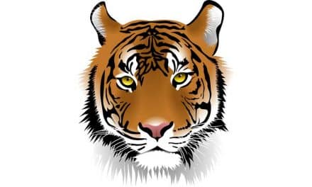 Tiger Facts for Kids